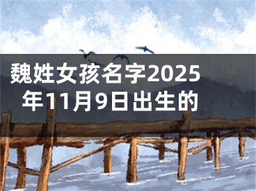 魏姓女孩名字2025年11月9日出生的