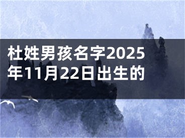 杜姓男孩名字2025年11月22日出生的