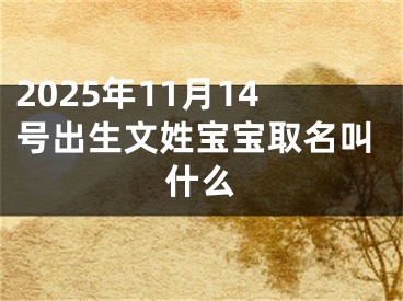 2025年11月14号出生文姓宝宝取名叫什么