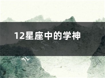 12星座中的学神