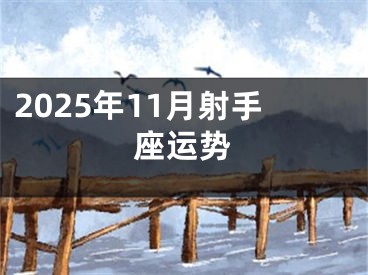 2025年11月射手座运势