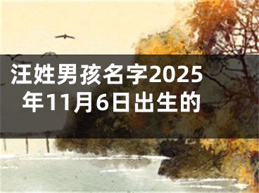 汪姓男孩名字2025年11月6日出生的