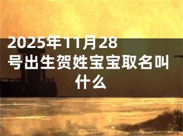 2025年11月28号出生贺姓宝宝取名叫什么