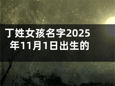 丁姓女孩名字2025年11月1日出生的