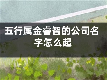 五行属金睿智的公司名字怎么起
