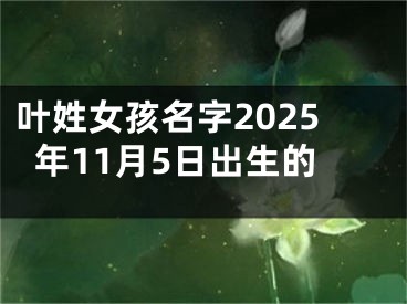 叶姓女孩名字2025年11月5日出生的