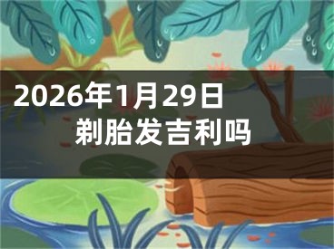2026年1月29日剃胎发吉利吗
