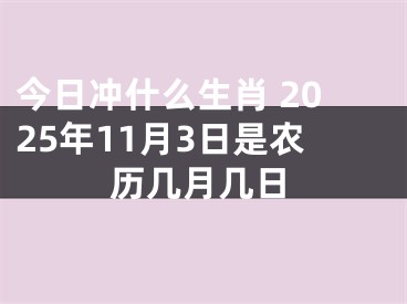 今日冲什么生肖 2025年11月3日是农历几月几日