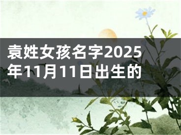 袁姓女孩名字2025年11月11日出生的