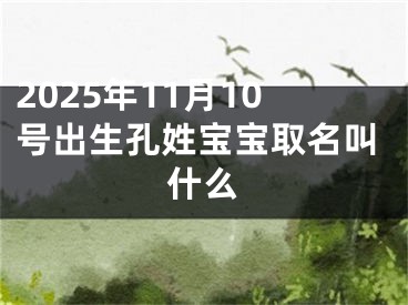 2025年11月10号出生孔姓宝宝取名叫什么