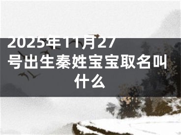 2025年11月27号出生秦姓宝宝取名叫什么