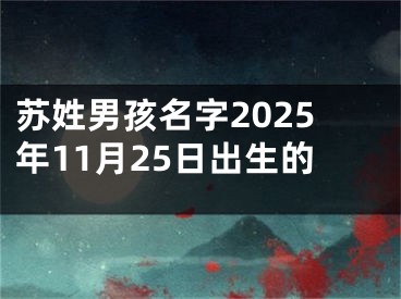 苏姓男孩名字2025年11月25日出生的