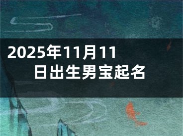 2025年11月11日出生男宝起名