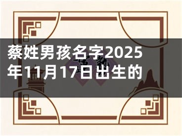 蔡姓男孩名字2025年11月17日出生的