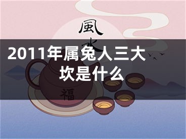 2011年属兔人三大坎是什么