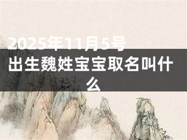 2025年11月5号出生魏姓宝宝取名叫什么