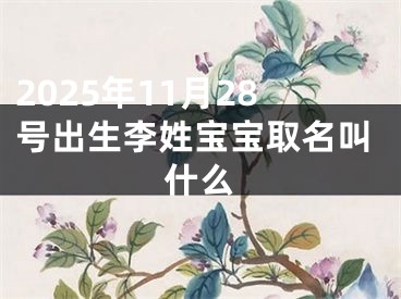 2025年11月28号出生李姓宝宝取名叫什么