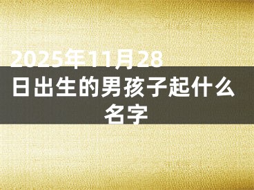 2025年11月28日出生的男孩子起什么名字