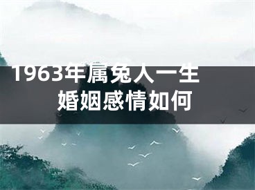 1963年属兔人一生婚姻感情如何