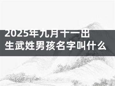 2025年九月十一出生武姓男孩名字叫什么