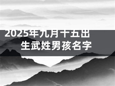 2025年九月十五出生武姓男孩名字