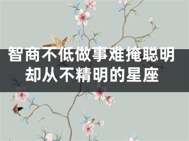 智商不低做事难掩聪明却从不精明的星座