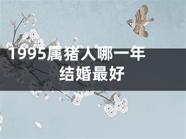 1995属猪人哪一年结婚最好
