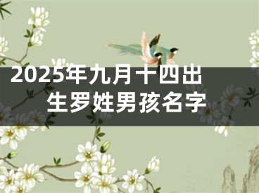 2025年九月十四出生罗姓男孩名字