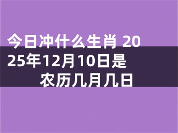 今日冲什么生肖 2025年12月10日是农历几月几日