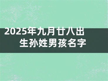 2025年九月廿八出生孙姓男孩名字