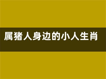属猪人身边的小人生肖
