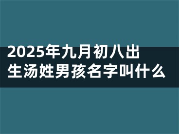 2025年九月初八出生汤姓男孩名字叫什么