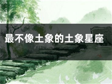最不像土象的土象星座