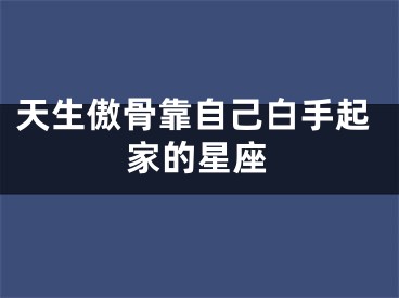 天生傲骨靠自己白手起家的星座