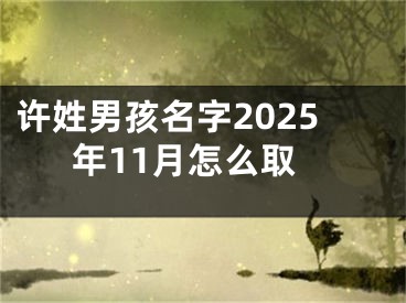 许姓男孩名字2025年11月怎么取