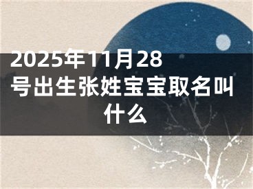 2025年11月28号出生张姓宝宝取名叫什么