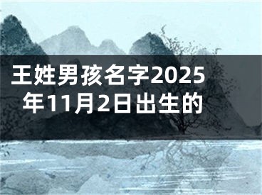王姓男孩名字2025年11月2日出生的