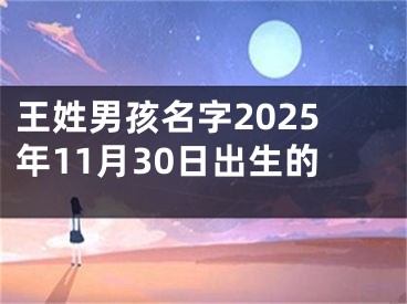 王姓男孩名字2025年11月30日出生的