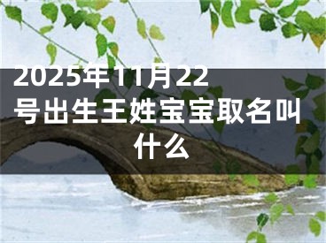 2025年11月22号出生王姓宝宝取名叫什么