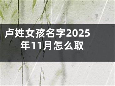 卢姓女孩名字2025年11月怎么取