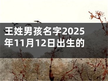 王姓男孩名字2025年11月12日出生的