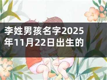 李姓男孩名字2025年11月22日出生的