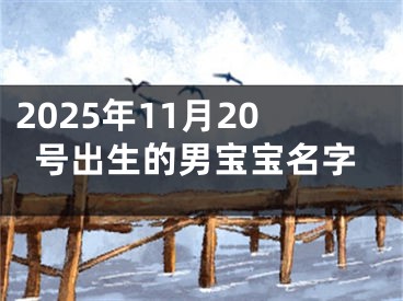 2025年11月20号出生的男宝宝名字