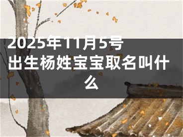 2025年11月5号出生杨姓宝宝取名叫什么