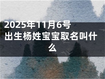 2025年11月6号出生杨姓宝宝取名叫什么