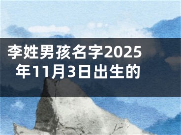 李姓男孩名字2025年11月3日出生的
