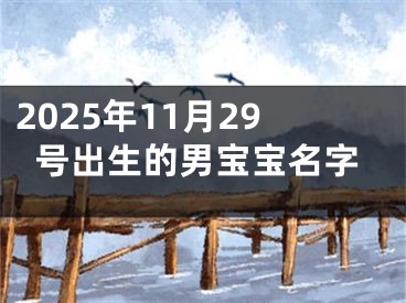 2025年11月29号出生的男宝宝名字