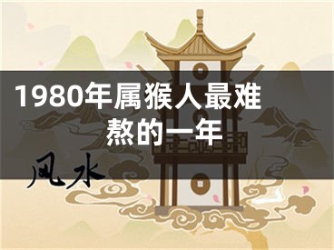 1980年属猴人最难熬的一年