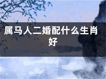 属马人二婚配什么生肖好