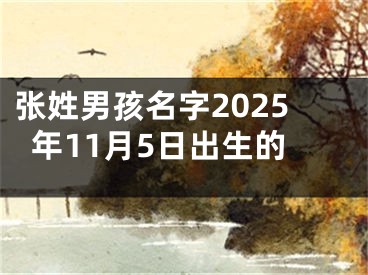 张姓男孩名字2025年11月5日出生的